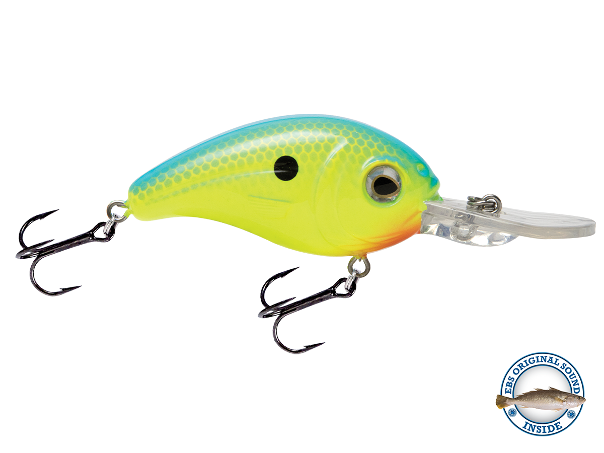 Dive Master Jr 8