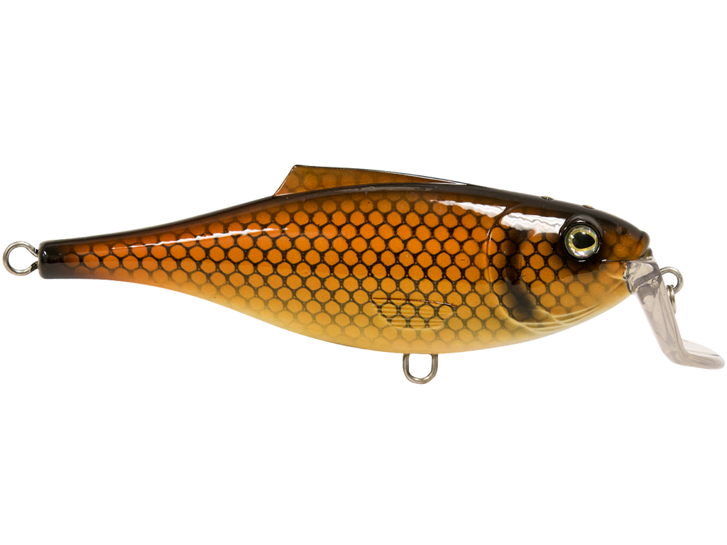 BullDozer