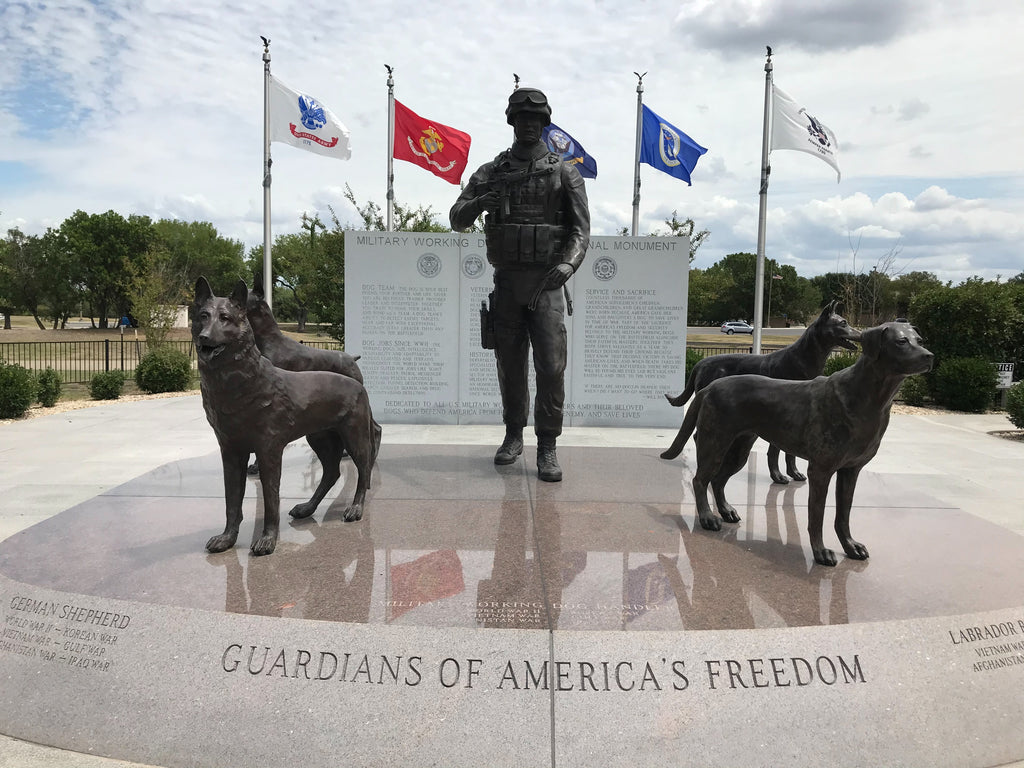 K9 - Not Forgotten