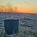 Canteen Cup